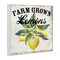 Stupell Industries Farm Grown Lemons Wall Plaque Art Design by Creatif Belle